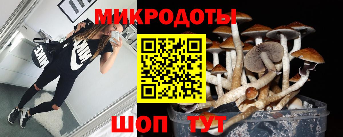 Псилоцибиновые грибы мухоморы  Вход с VPN  Полевской 
